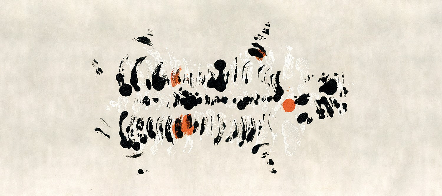 M4316-3 Fodere Negro Tafetán Mural by Tres tintas