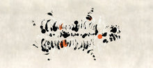 M4316-3 Fodere Negro Tafetán Mural by Tres tintas
