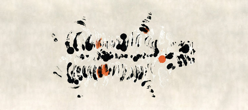 M4316-3 Fodere Negro Tafetán Mural by Tres tintas