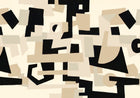 M4904-5 Cubic experience Black and White L'Enfant Terrible Mural by Tres Tintas