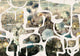 Prehistoric Flowers White Playful Layers Mural by Tres Tintas