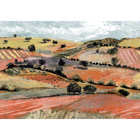 Quijote Red Solera Mural by Tres Tintas