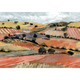 Quijote Red Solera Mural by Tres Tintas
