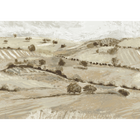 Quijote Beige Solera Mural by Tres Tintas