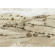 Quijote Beige Solera Mural by Tres Tintas