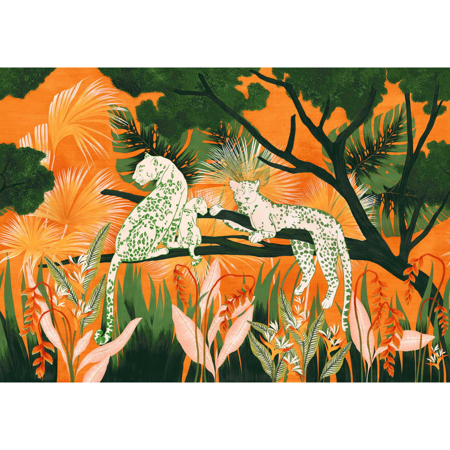 Onca Naranja Bossa Nova Mural by Tres Tintas (400x280cm)