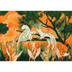 Onca Naranja Bossa Nova Mural by Tres Tintas (400x280cm)