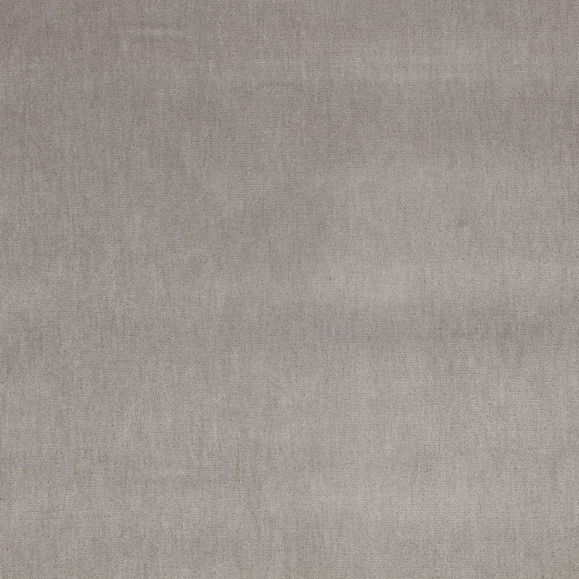 Silken Silverbirch Silken Fabric by Mark Alexander