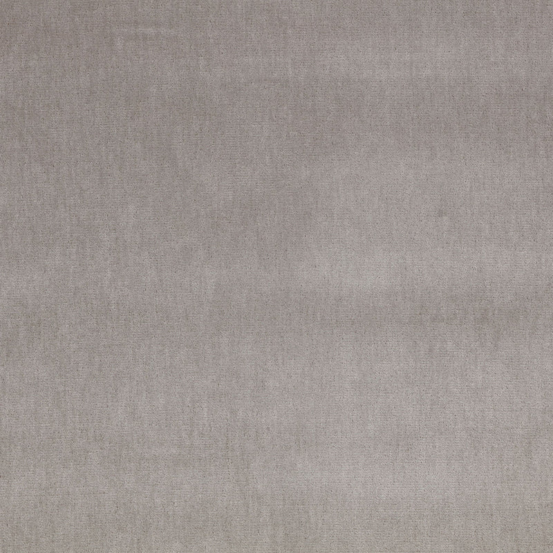 Silken Silverbirch Silken Fabric by Mark Alexander