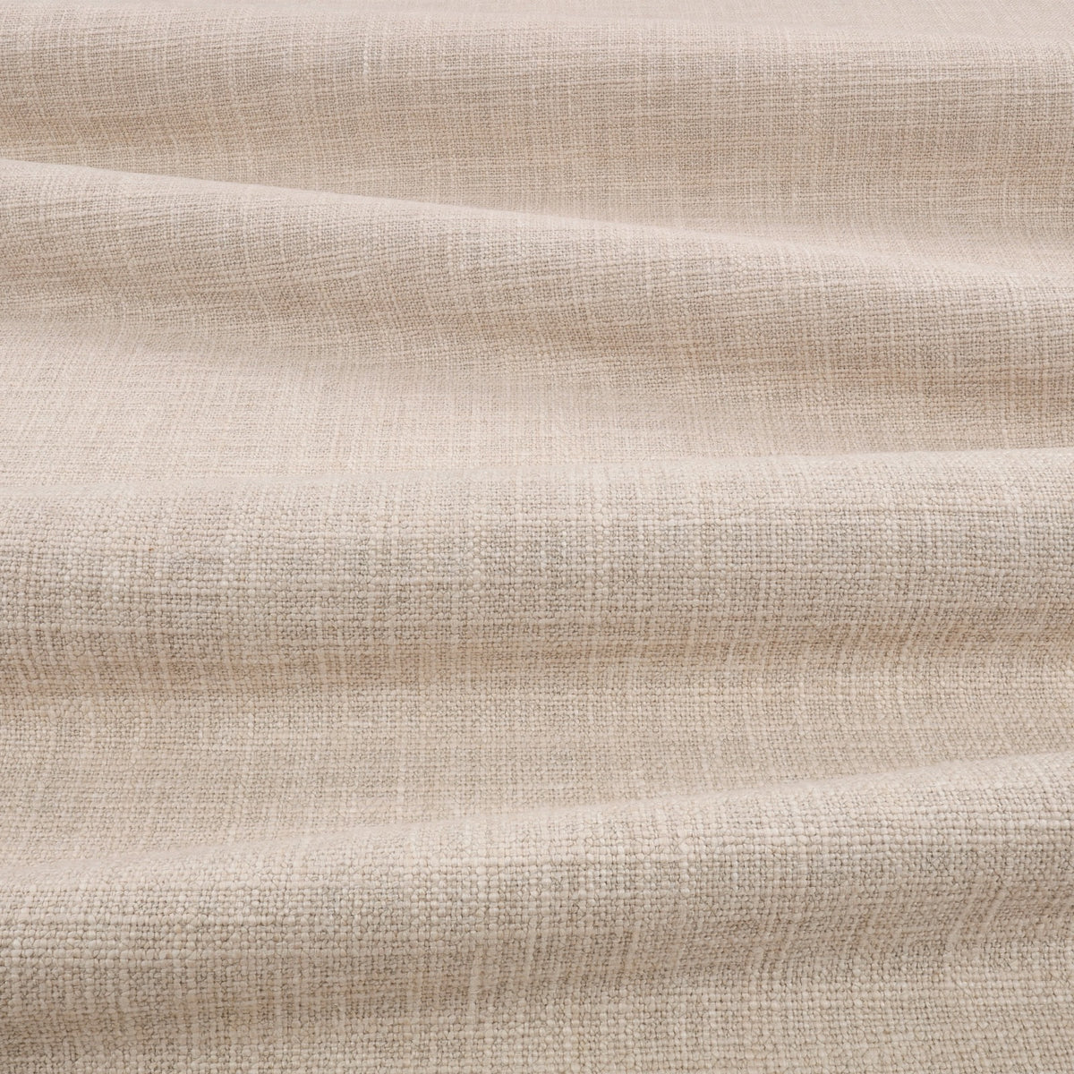 Gaia Beech