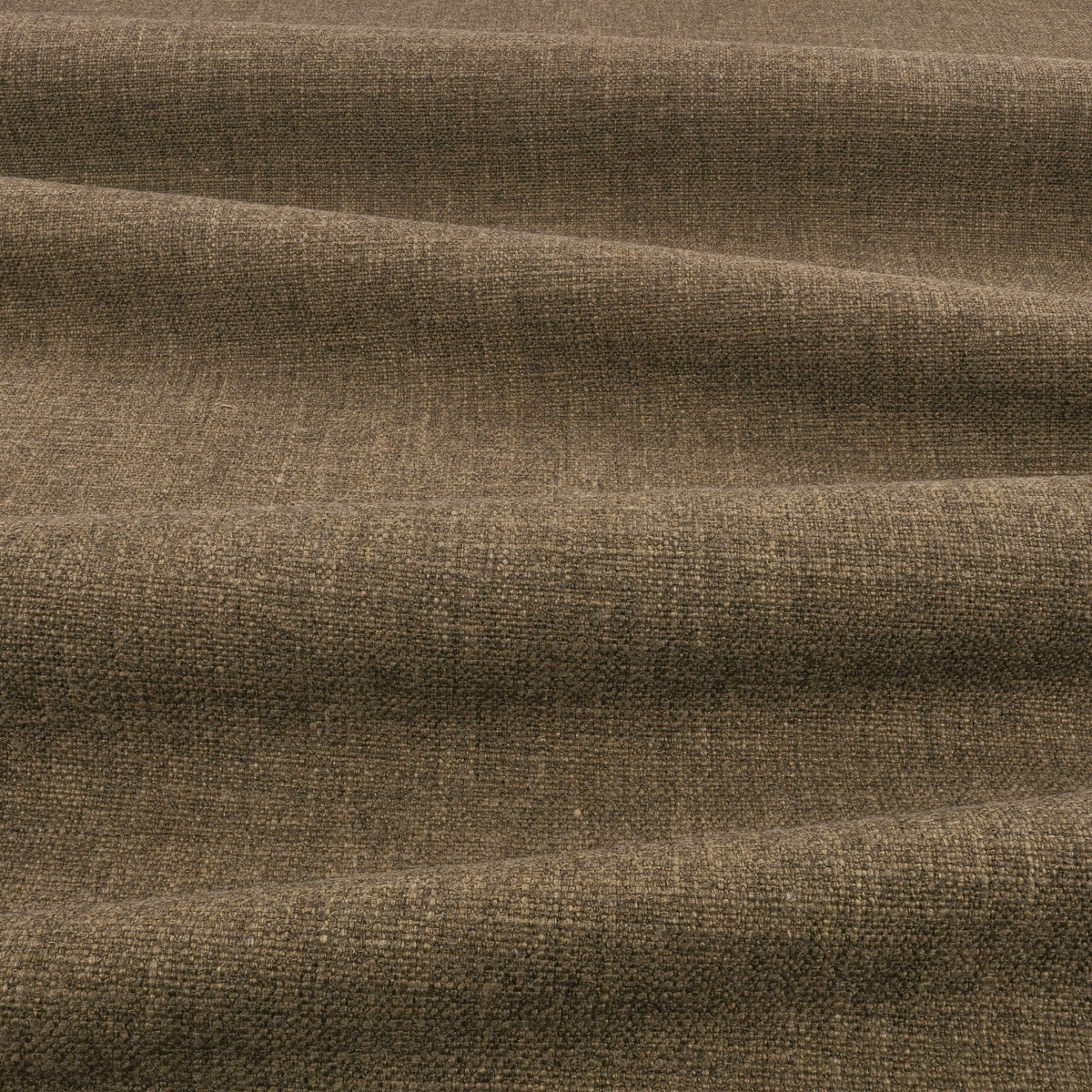 Gaia Loam