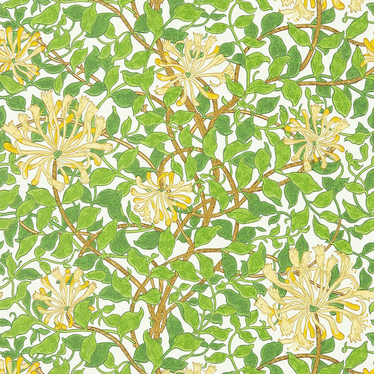 217095 Honeysuckle Cornubia by Ben Pentreath Wallpaper by Morris & Co