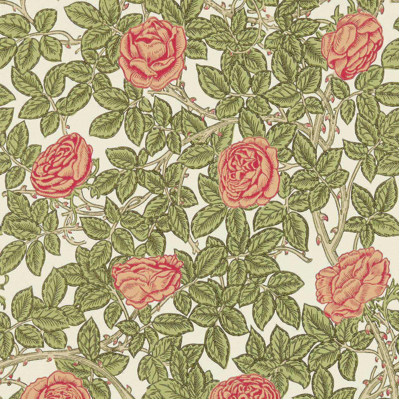 217207 Rambling Rose Emery Walker's House Twining Vine Wallpaper by Morris & Co