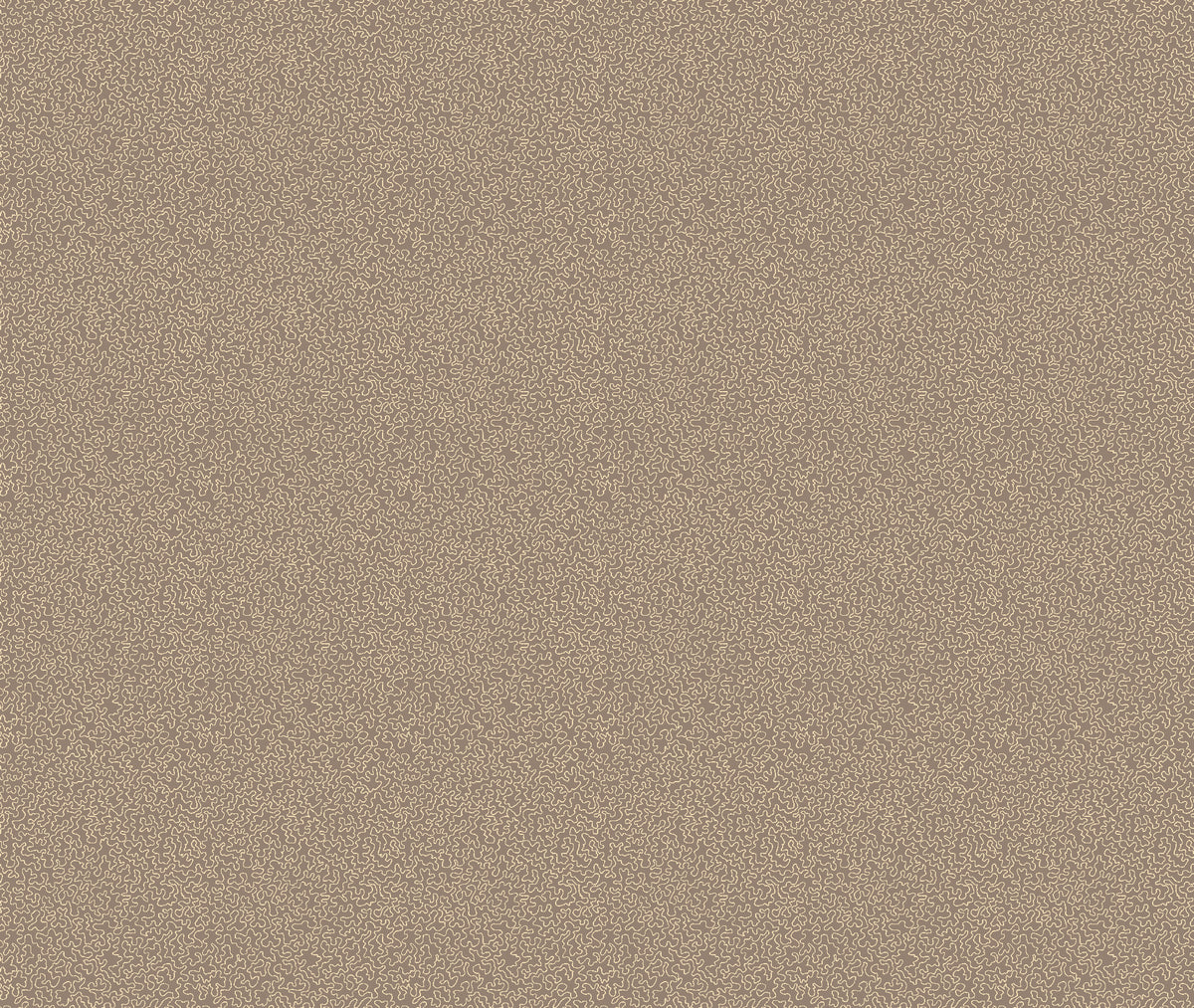 Mazie May Mole Contemporary Wallpaper by Mallion & Knowles