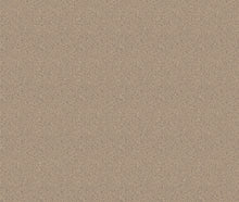 Mazie May Mole Contemporary Wallpaper by Mallion & Knowles
