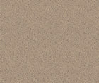 Mazie May Mole Contemporary Wallpaper by Mallion & Knowles
