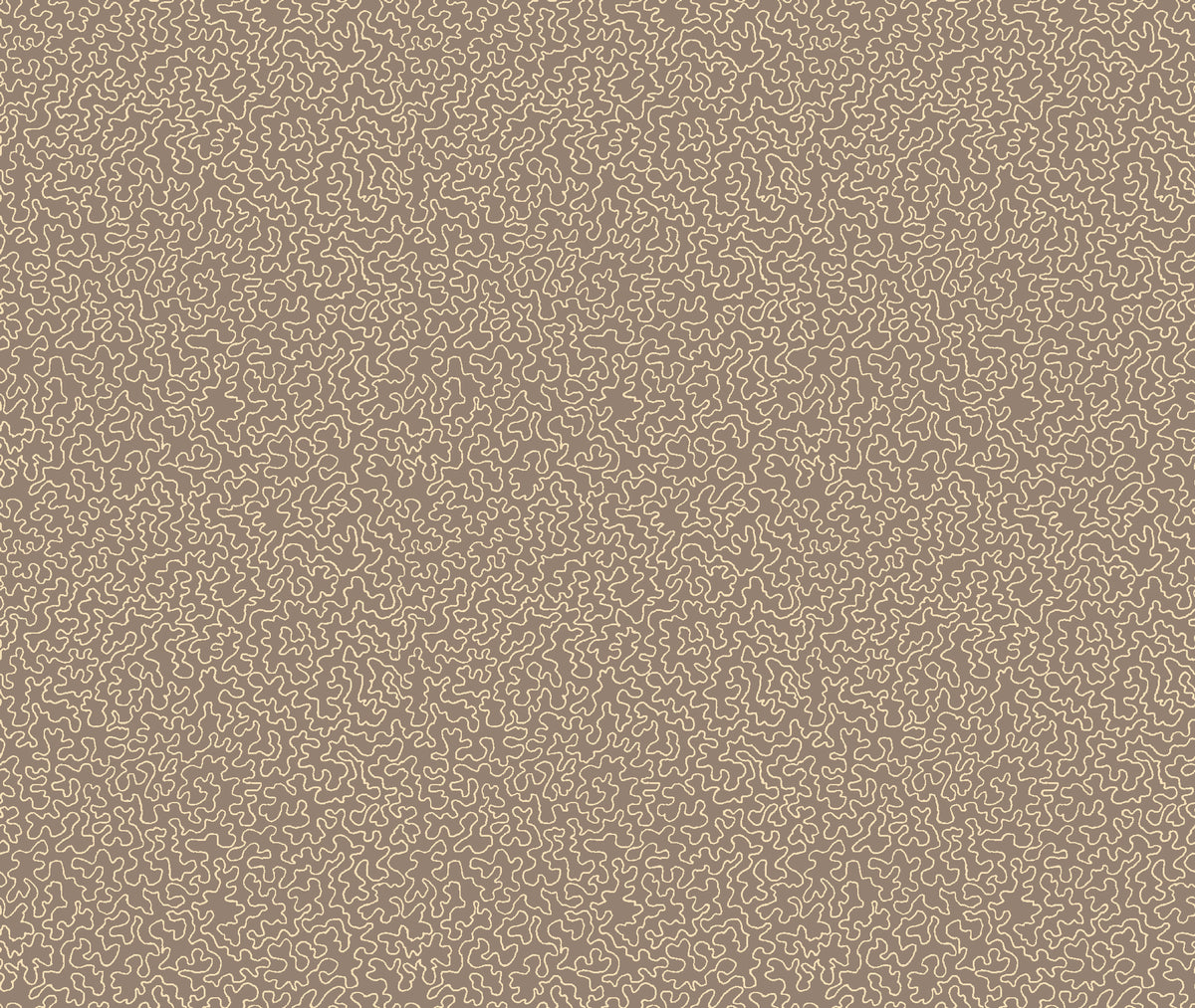 Mazie May Mole Contemporary Wallpaper by Mallion & Knowles