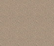 Mazie May Mole Contemporary Wallpaper by Mallion & Knowles