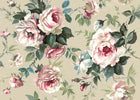 Messina Rose / Beige Floral Style Wallpaper by Mallion & Knowles