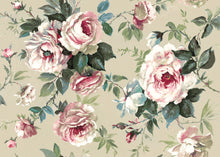 Messina Rose / Beige Floral Style Wallpaper by Mallion & Knowles