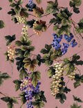 Vineyard Blush Traditional Wallpaper by Mallion & Knowles