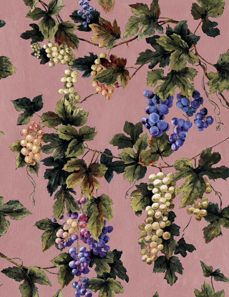 Vineyard Blush Traditional Wallpaper by Mallion & Knowles