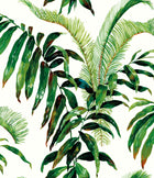 Pavillion Fern Floral Style Wallpaper by Mallion & Knowles