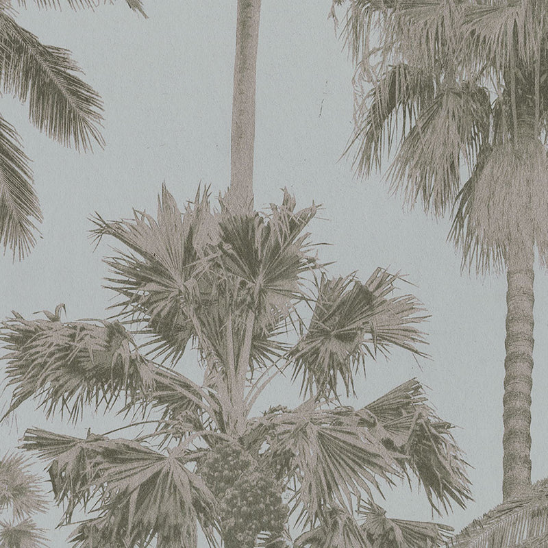 ML01414 California Palm Malibu Copper-Steel Wallpaper By Sketch Twenty 3