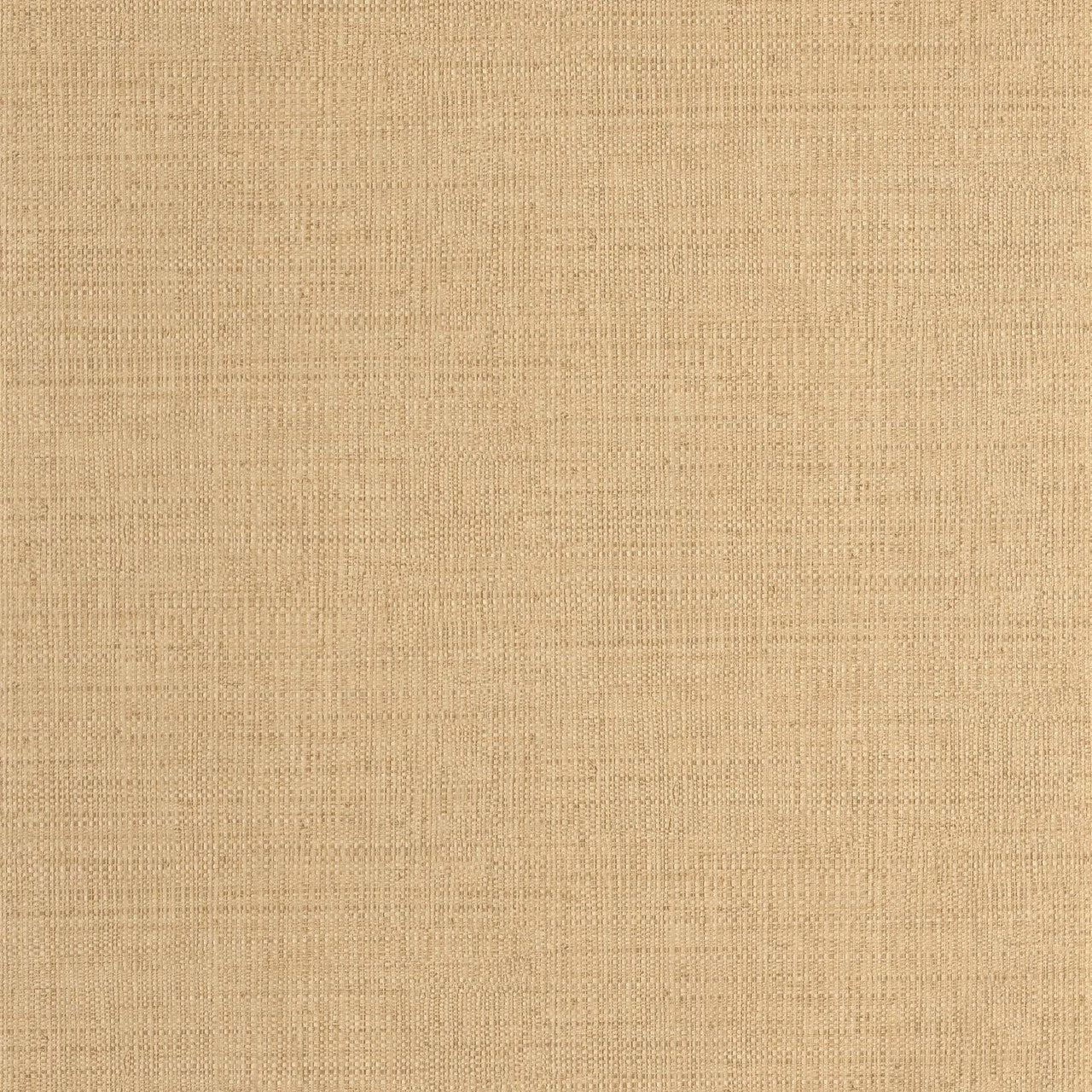 MMT105971245 Raphia Matieres Wallpaper by Caselio