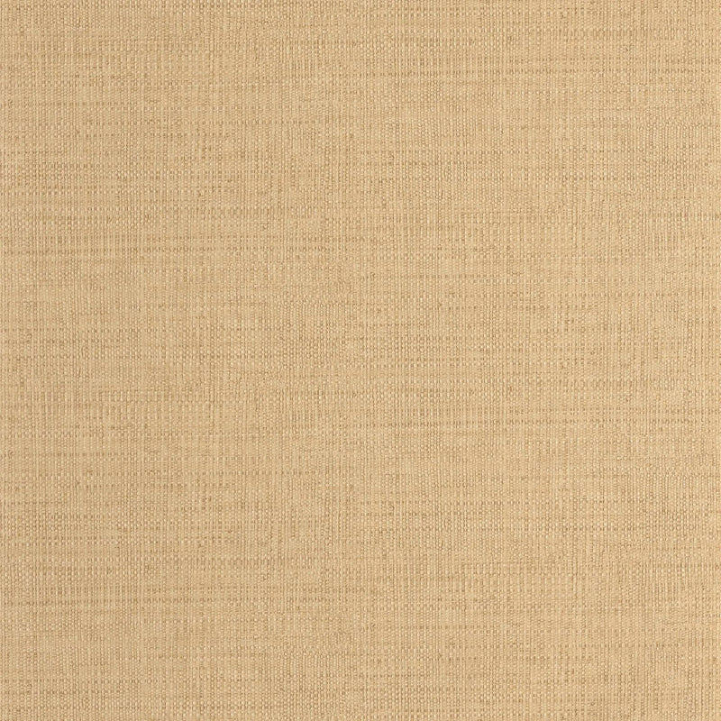 MMT105971245 Raphia Matieres Wallpaper by Caselio
