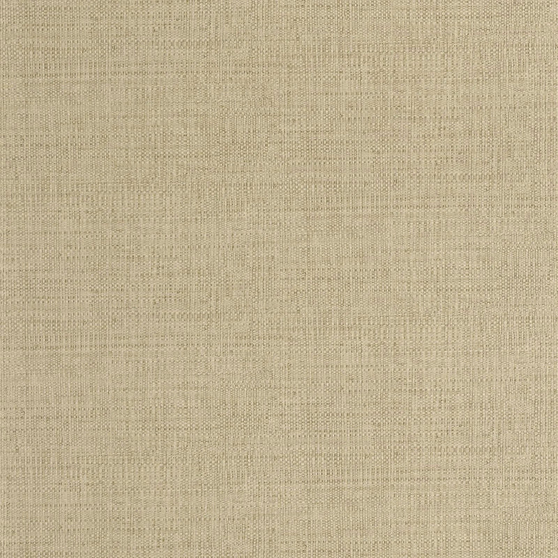 MMT105977170 Raphia Matieres Wallpaper by Caselio