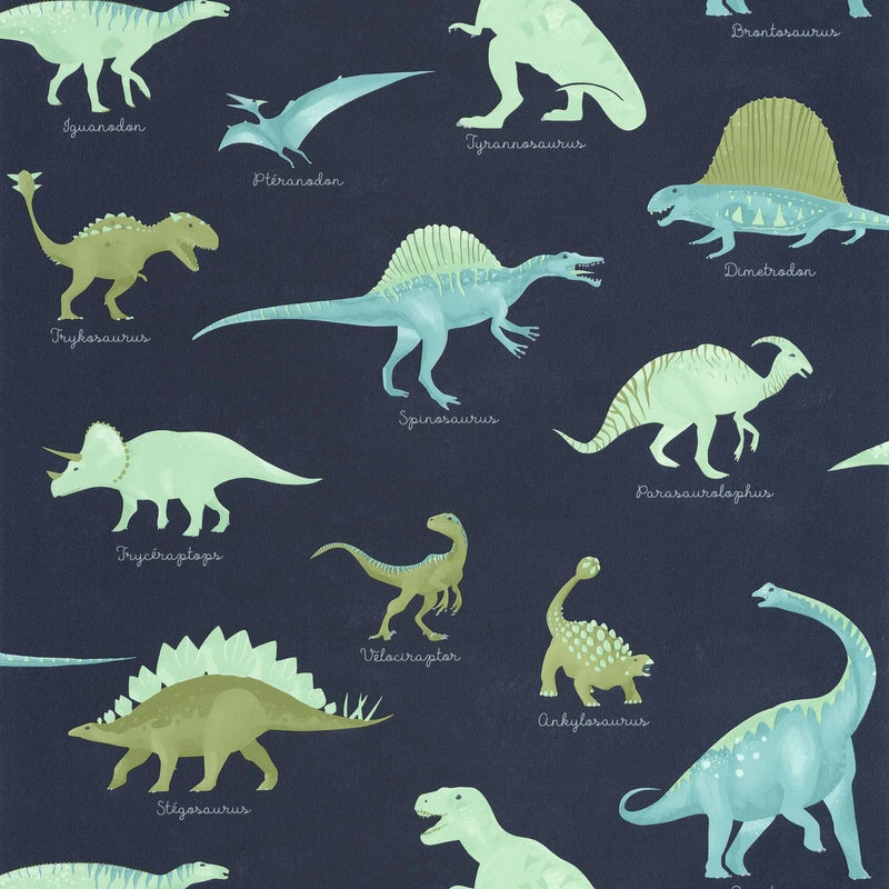 MNM105706060 Jurassique Les Mini Mondes Wallpaper by Caselio