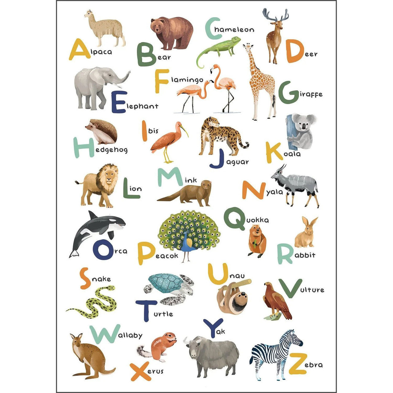 MNM105857003 Let S Learn The Alphabet Les Mini Mondes Wallpaper by Caselio