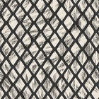 MO2032 Aristo Quagga Moooi Extinct Animals Wallpaper by Arte