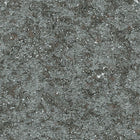 MO2051 Bearded Leopard Moooi Extinct Animals Wallpaper by Arte