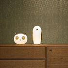 MO2062 Umbrella Squid Moooi Extinct Animals Wallpaper by Arte