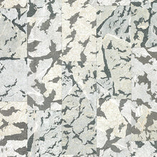 MO2111 Armoured Boar Moooi Extinct Animals Wallpaper by Arte