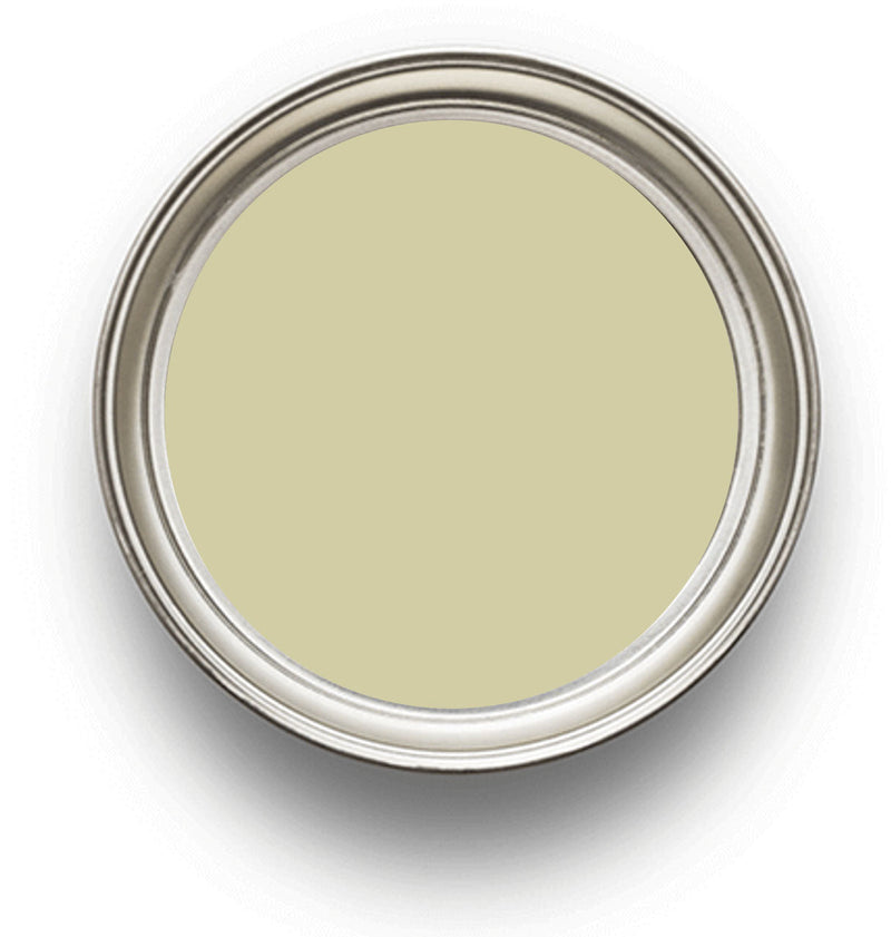 Monet Zoffany Paint