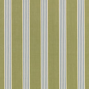 Elvyn Kiwi Averly Fabric by Romo