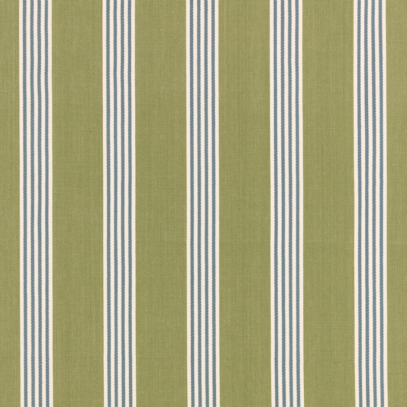 Elvyn Kiwi Averly Fabric by Romo