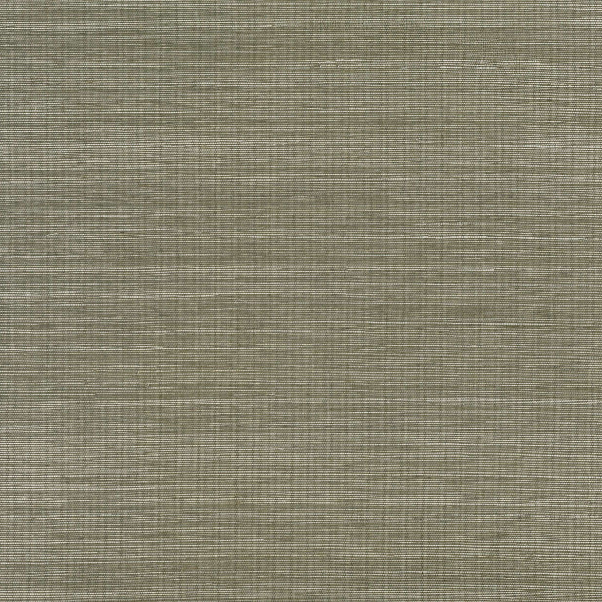 Duo Sisal Grasscloth Wallpaper By Mark Alexander