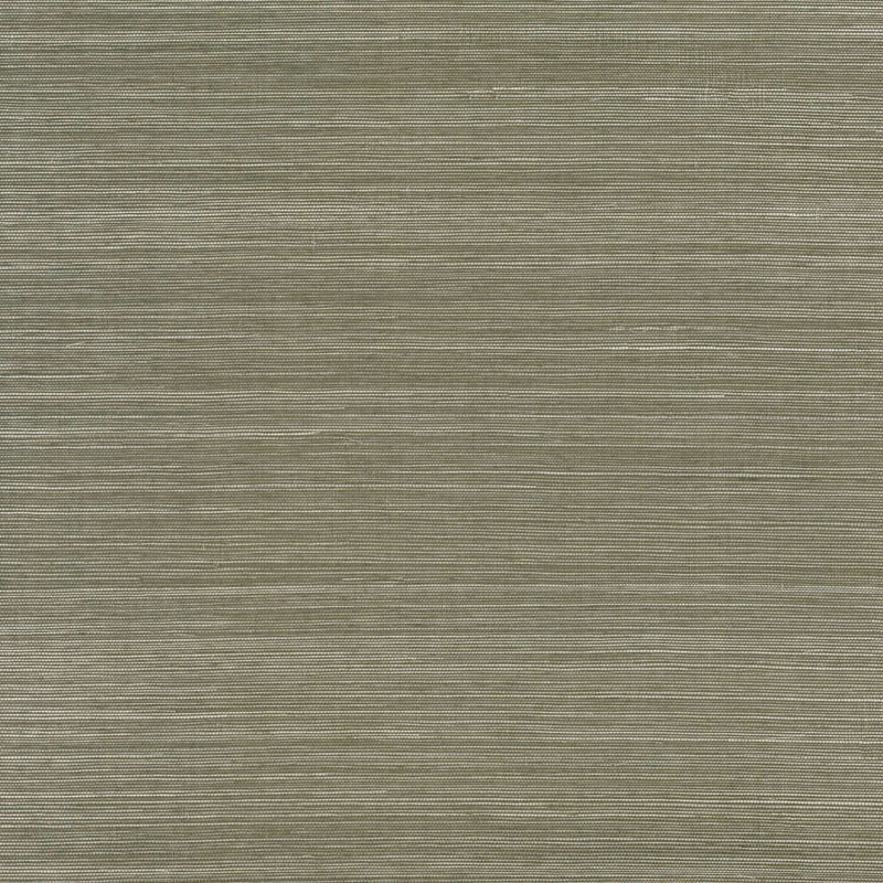 Duo Sisal Grasscloth Wallpaper By Mark Alexander