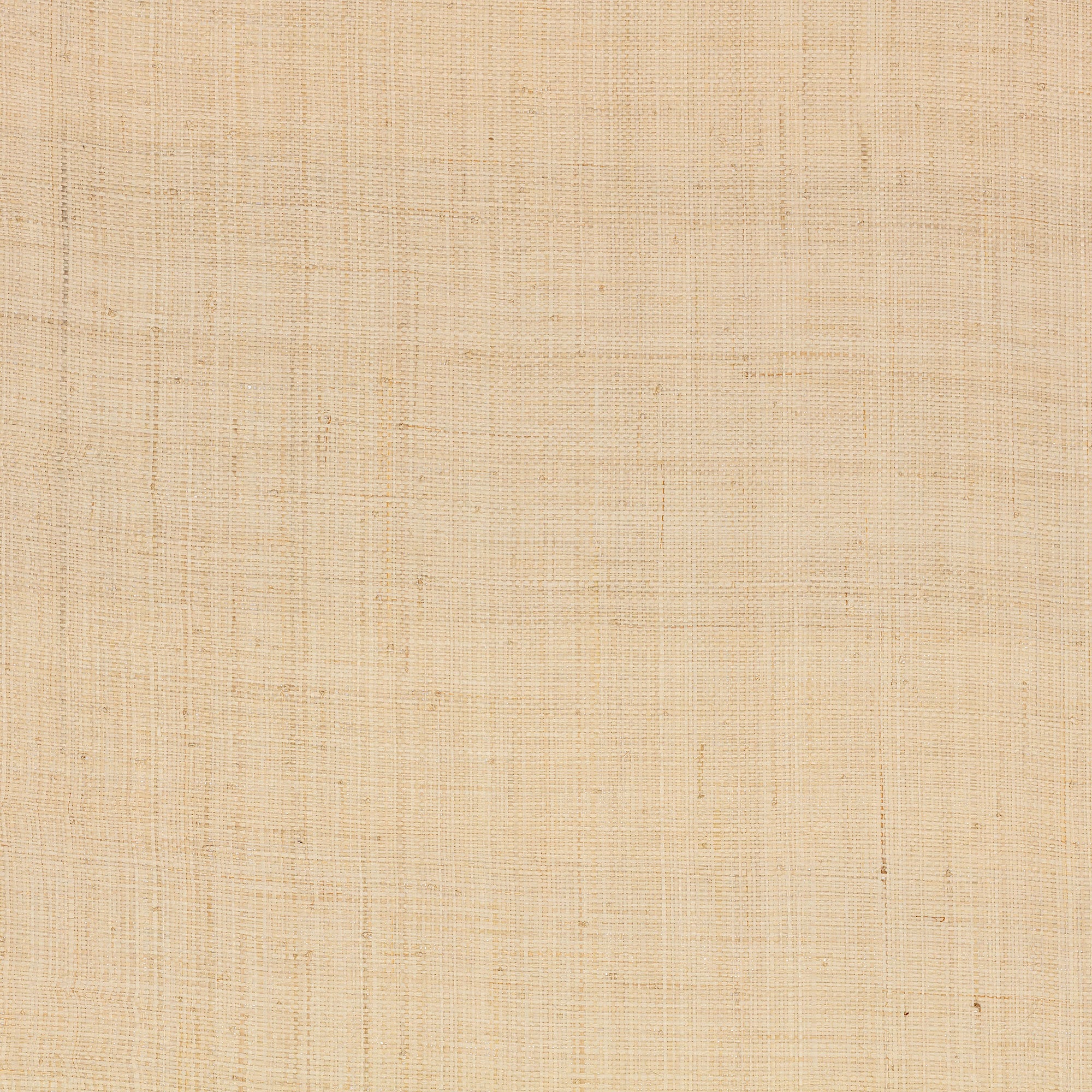 MW147/03 Palm Wallcovering Natural Grasscloth II Wallpaper by Mark Alexander