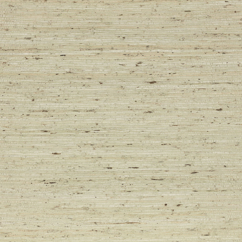 MW148/02 Arrowroot Wallcovering Pale Celadon Grasscloth II Wallpaper by Mark Alexander