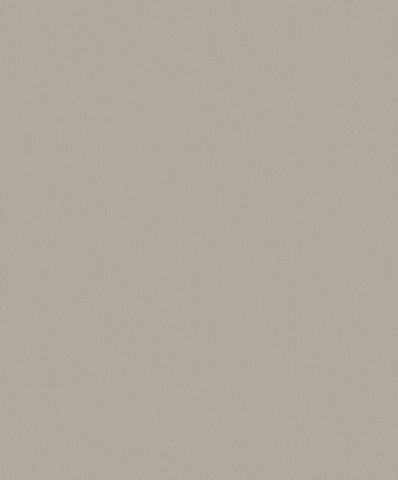 Plain Texture Grey Beige Metallic FX 2 Wallpaper by Galerie — flat