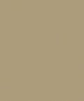 Plain Texture Antique Gold Metallic FX 2 Wallpaper by Galerie