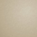 Plain Texture Champagne Metallic FX 2 Wallpaper by Galerie
