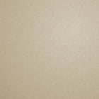 Plain Texture Champagne Metallic FX 2 Wallpaper by Galerie — flat