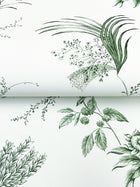 MX9680 Floral Lace Green Astoria Wallpaper by York Wallcoverings