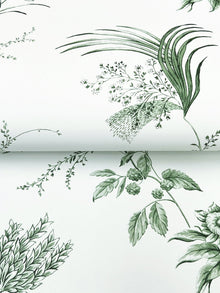 MX9680 Floral Lace Green Astoria Wallpaper by York Wallcoverings